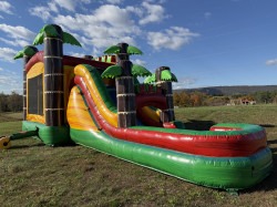 IMG 6560 1761257392 Deluxe Tropical Bounce House Combo