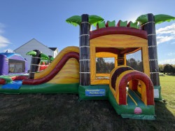 IMG 6566 1761257393 Deluxe Tropical Bounce House Combo