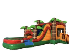 Deluxe Tropical Bounce House Combo