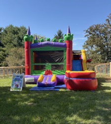 IMG 0806 1768930041 6 in 1 DRAGON LANDS CASTLE