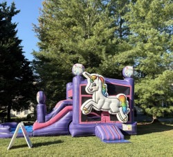 IMG 0815 1768929781 PINK & PURPLE UNICORN DREAM