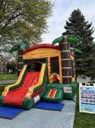 IMG 0845 1768930967 Palm Tree Themed Combo with Slide