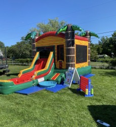 IMG 0846 1768930967 Palm Tree Themed Combo with Slide